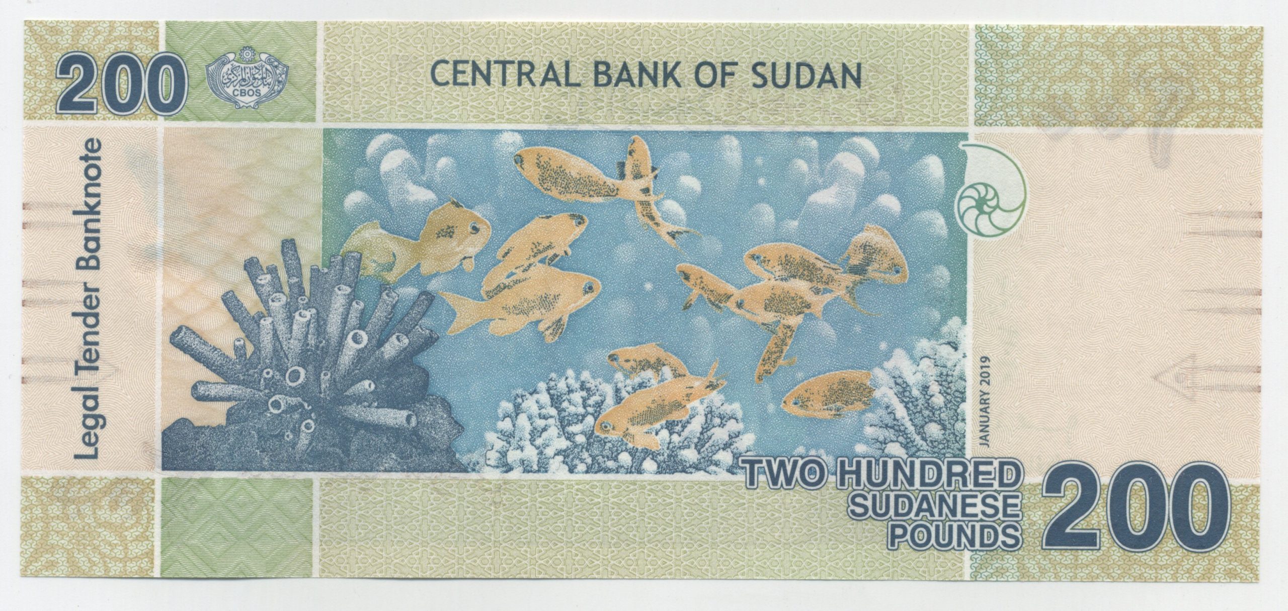 Sudan 200 Pounds January 2019 Pick 78 UNC Sudan 200 Pounds January 2019 Pick 78 UNC